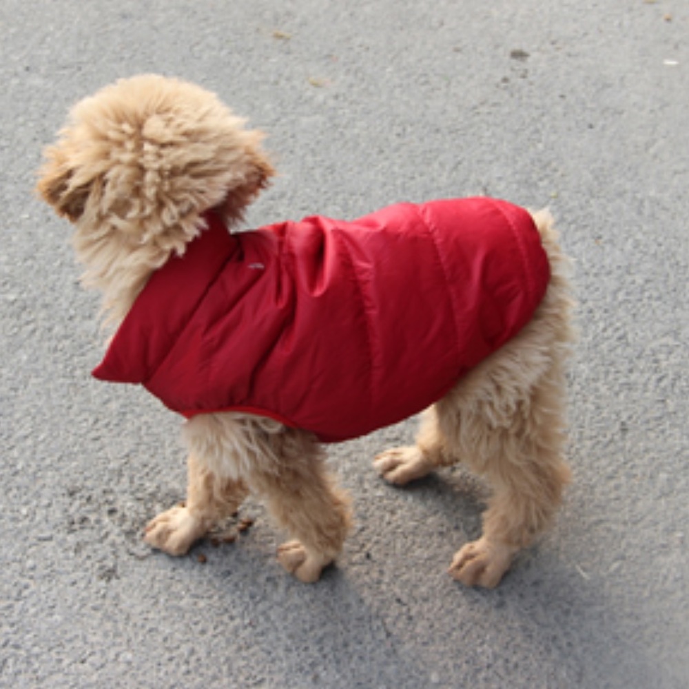 JoyDaog Fleece Lined Dog Jacket- orange